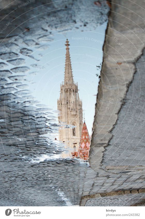 Matthias Church Budapest Exceptional Idyll Religion and faith Surrealism Mirror image Church spire World heritage Pavement Roadside Puddle Curbside