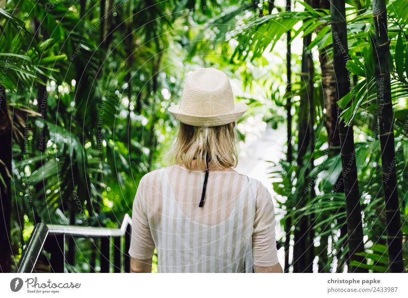 Way to the Jungle Vacation & Travel Trip Adventure Summer Summer vacation Woman Adults Back 1 Human being 30 - 45 years Plant Tree Bushes Leaf Exotic Garden