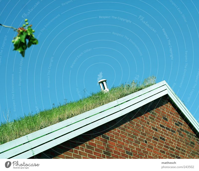 do you hear the grass grow? Sky Cloudless sky Grass House (Residential Structure) Architecture Wall (barrier) Wall (building) Roof Eaves Chimney Blue Brown