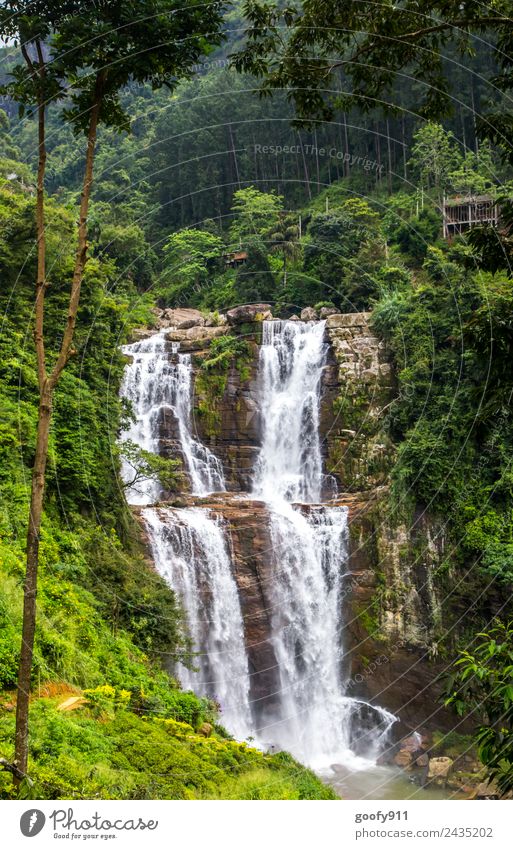 Ramboda Falls Sri Lanka II Vacation & Travel Tourism Trip Adventure Far-off places Freedom Sightseeing Expedition Island Mountain Environment Nature Landscape