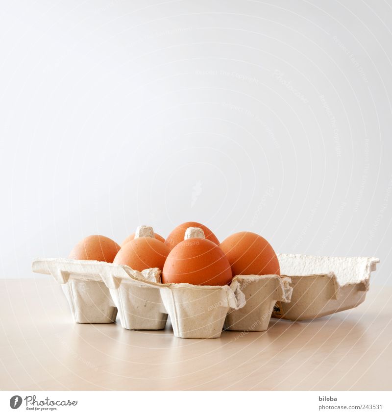I have eggs Egg Breakfast Picnic Brown White Egg seller Packing material 6 Table Interior shot Copy Space top Deep depth of field