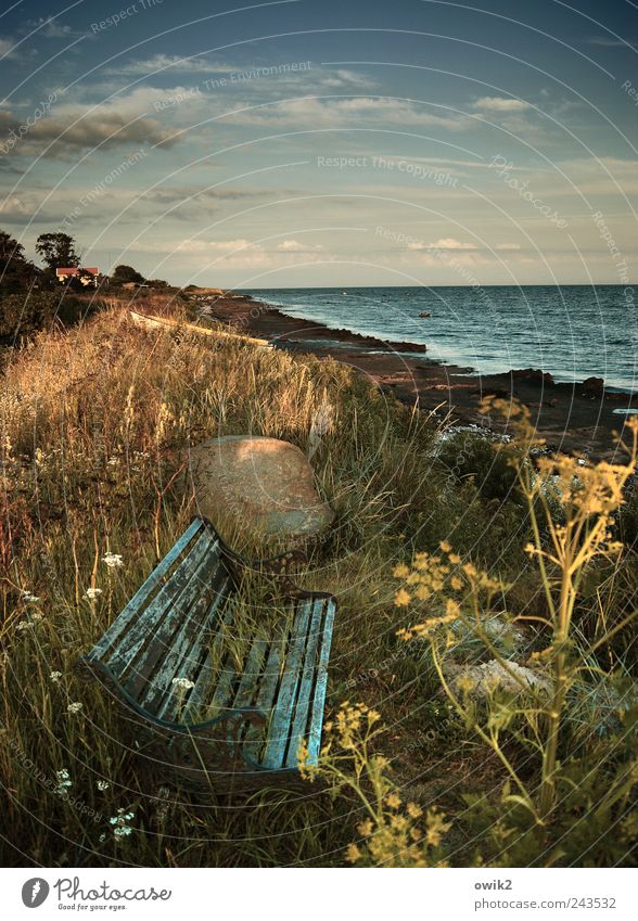 flotsam and jetsam Vacation & Travel Far-off places Freedom Bench Environment Nature Landscape Plant Air Water Sky Clouds Horizon Climate Beautiful weather