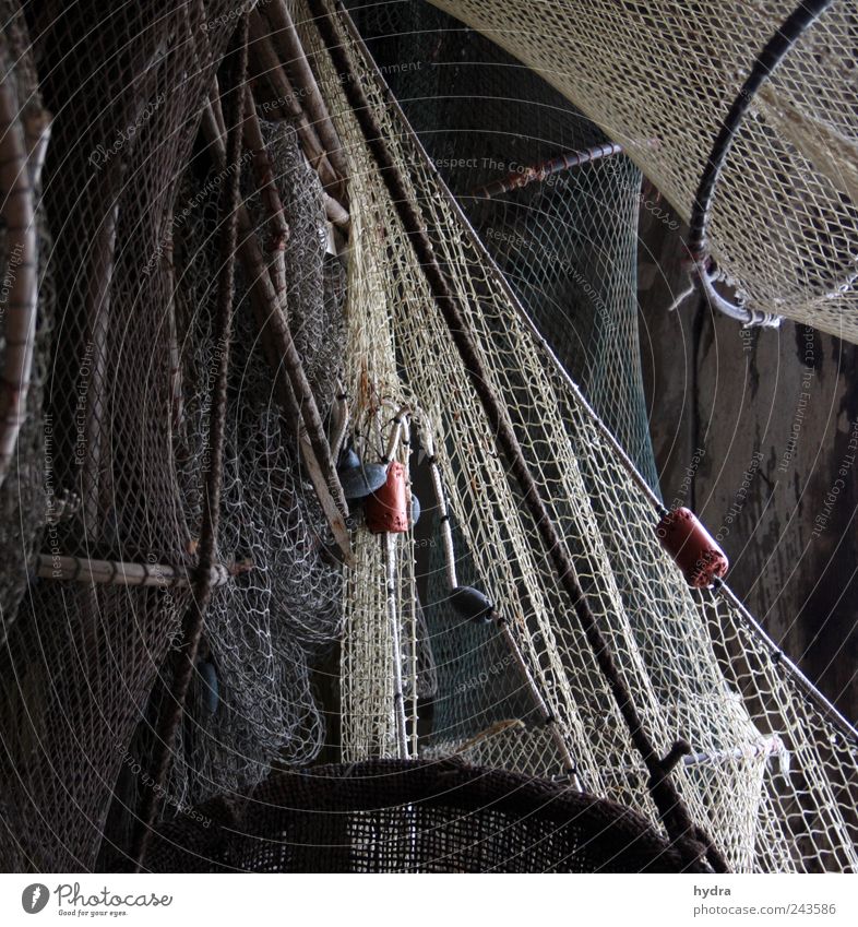 Maritime Melancholy Fishing (Angle) Fisherman Fishery Net Fishing net Network Fishing float Navigation Catch Old Simple Brown Gray Dependability Diligent Modest
