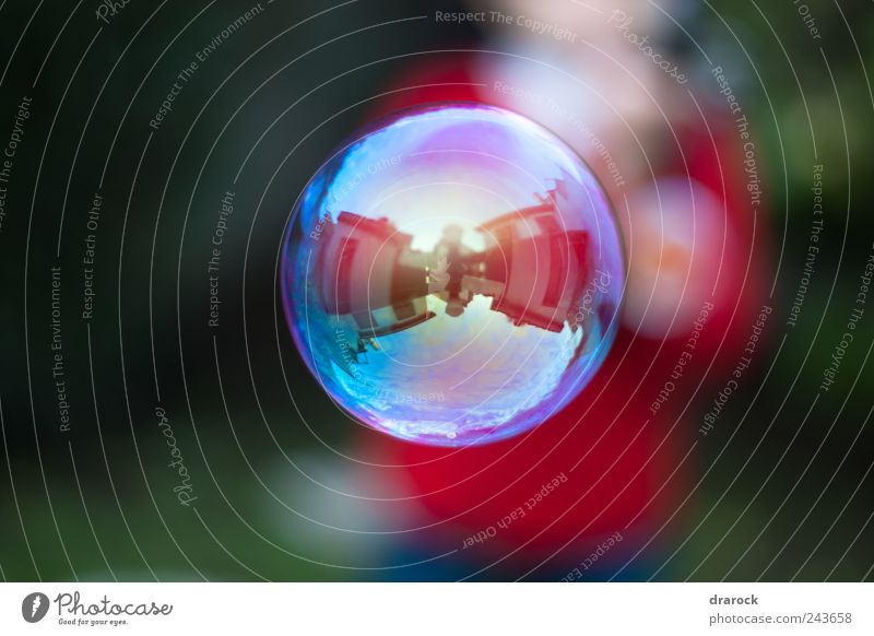 Round reflection Infancy Garden Cute Blue Multicoloured Yellow Gold Pink drarock Air bubble Floating Reflection Colour photo Exterior shot Flash photo