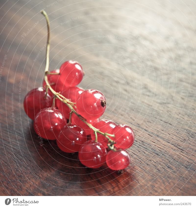 berries Nutrition Organic produce Vegetarian diet Wood Good Juicy Sour Red Redcurrant Stalk Table Bunch of grapes Healthy Vitamin-rich Delicious Fruit Round