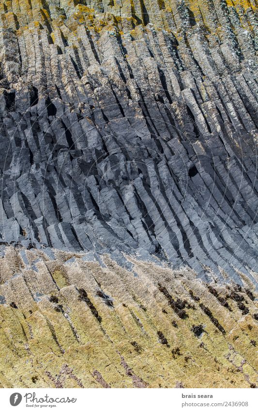 basaltic columns Vacation & Travel Tourism Trip Island Geology Geologist Art Environment Nature Landscape Earth Coast Scotland Tourist Attraction Landmark Stone