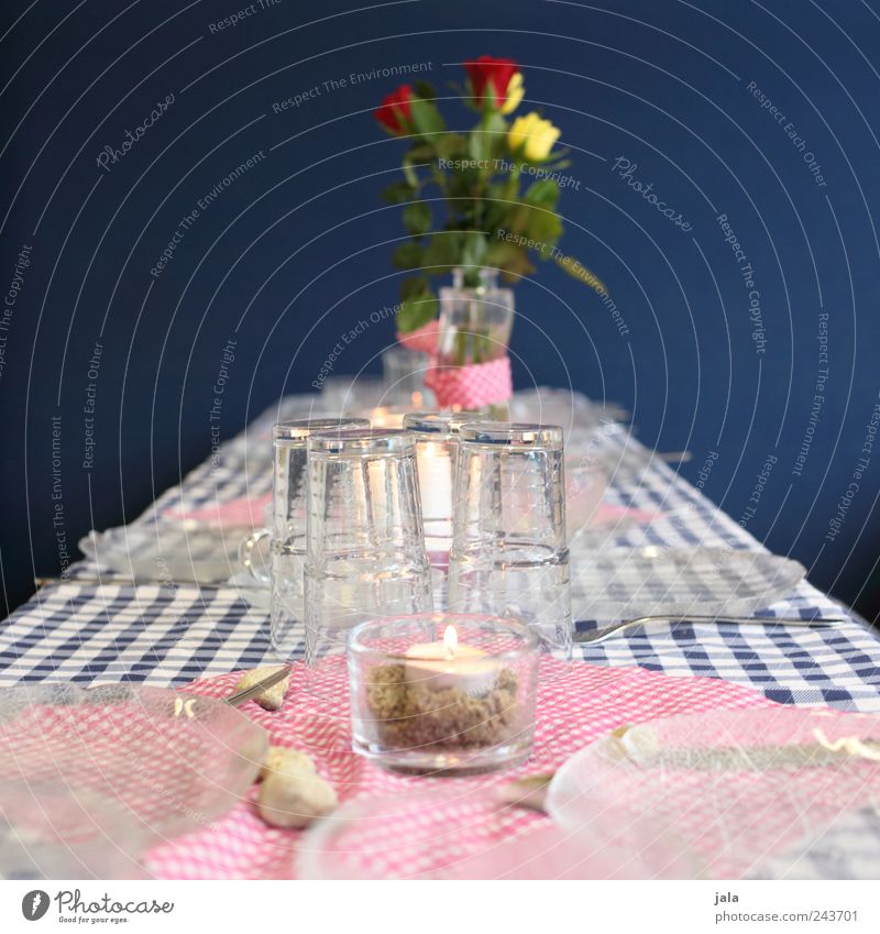 I'll cover you. Crockery Plate Glass Cutlery Flower Rose Vase Candle Beautiful Blue Pink Colour photo Interior shot Deserted Copy Space left Copy Space right