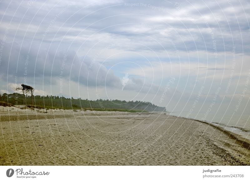 western beach Environment Nature Landscape Plant Water Sky Clouds Climate Coast Beach Baltic Sea Ocean Darss Western Beach Far-off places Cold Wild Moody