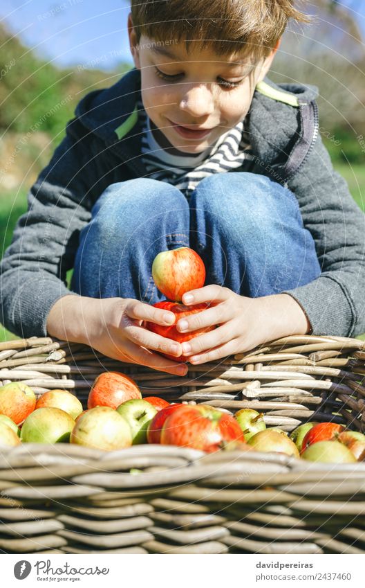 Happy kid playing with apples over wicker basket Fruit Apple Lifestyle Joy Leisure and hobbies Playing Garden Child Human being Boy (child) Man Adults Infancy