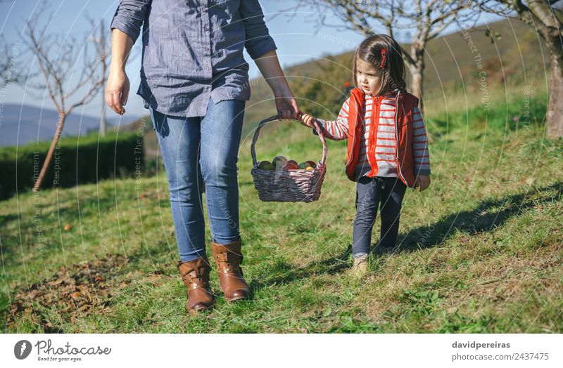 Little girl and woman carrying basket with apples Fruit Apple Lifestyle Joy Happy Beautiful Leisure and hobbies Garden Human being Woman Adults Mother Hand