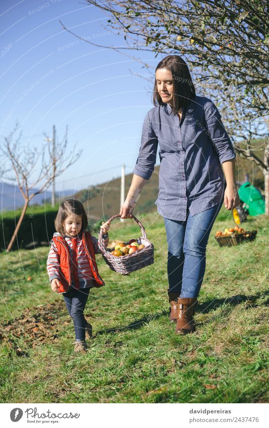 Woman and little girl carrying basket with apples Fruit Apple Lifestyle Joy Happy Beautiful Leisure and hobbies Garden Human being Adults Mother Hand Nature