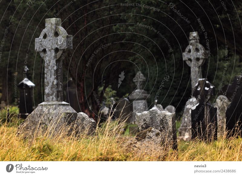 Old Celtic stone crosses near Glendalough in Ireland Environment Grass Park Belief Sadness Peace Religion and faith Calm Pain Death Transience Stone cross