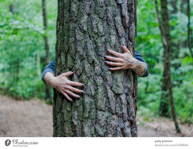 [AM104] - Hands of a young lady embracing a tree Lifestyle Relaxation Meditation Vacation & Travel Hiking Feminine Young woman Youth (Young adults) Human being