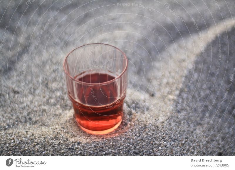 Evening at the sea Beverage Cold drink Glass Red Rose Calm Thirst-quencher Alcoholic drinks Half full Delicious Colour photo Exterior shot Detail Contrast Blur