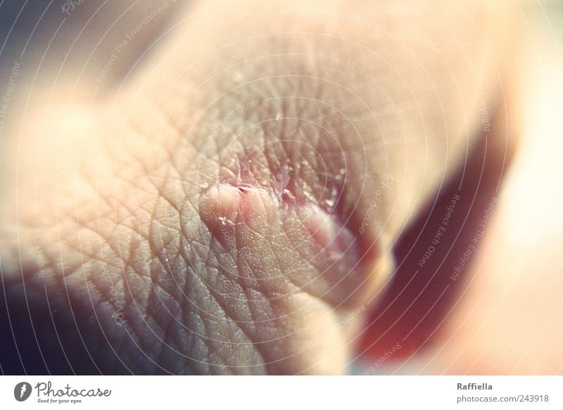healing Skin Hand Pink Pain Fear Scar Harm Fingers Healing Wound Colour photo Close-up Detail Macro (Extreme close-up) Pattern Structures and shapes Light