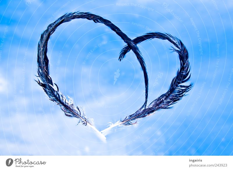 fishing tackle Valentine's Day Sky Clouds Decoration Sign Heart Dream Happy Blue Black White Emotions Moody Sympathy Love Infatuation Loyalty Romance Hope