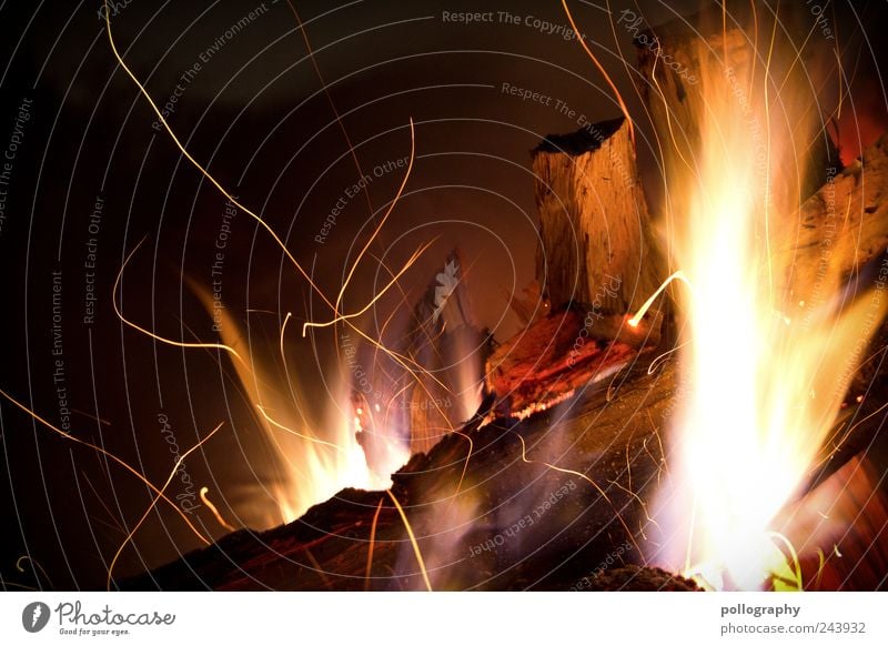 flame tongue Vacation & Travel Expedition Camping Summer vacation Feasts & Celebrations Hallowe'en Nature Fire Meadow Wood Esthetic Threat Hot Brown Yellow