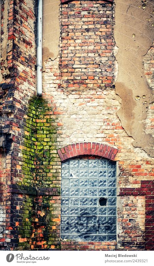 An old brick building wall Living or residing House (Residential Structure) Factory Building Architecture Wall (barrier) Wall (building) Facade Window Old Dirty