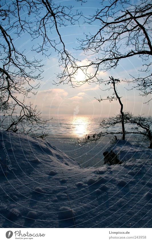 ground silence Environment Nature Landscape Water Sky Clouds Sunlight Winter Beautiful weather Ice Frost Coast Lakeside Beach Cold Colour photo Exterior shot