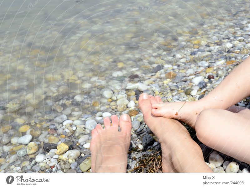 feet Vacation & Travel Summer Summer vacation Beach Human being Child Toddler Mother Adults Family & Relations Infancy Legs Feet 2 3 - 8 years Lakeside Bay