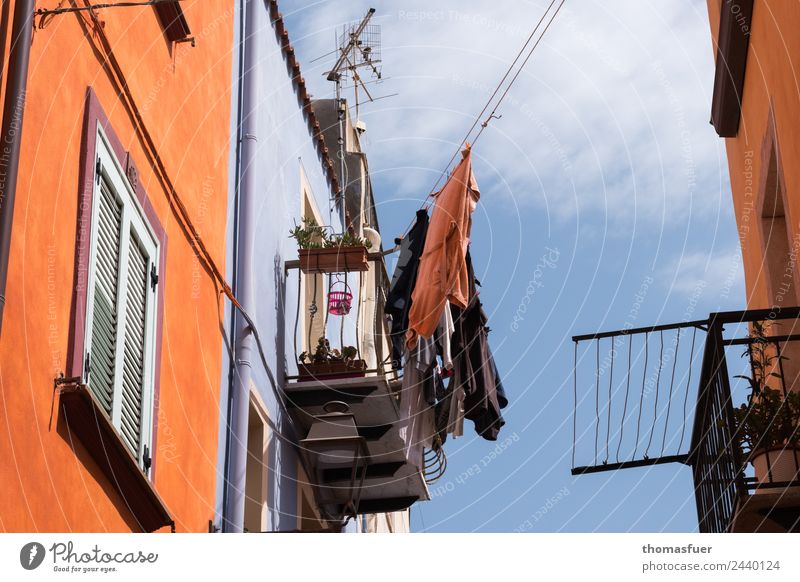 Laundry on a line, picturesque alley, Italy Living or residing House (Residential Structure) Colour Town Street Clothesline Antenna Balcony Housefront Sardinia