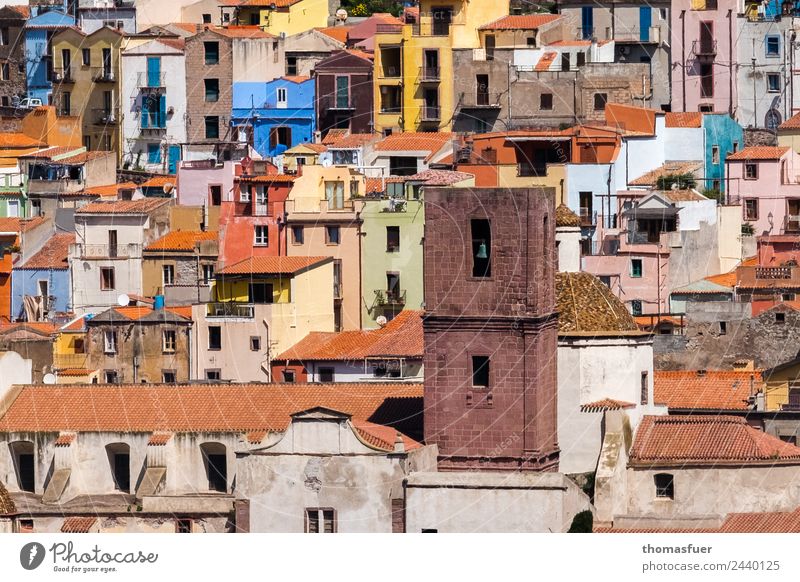 picturesque old town with church tower, colourful houses Vacation & Travel Tourism Far-off places Summer pink Sardinia Italy Europe Small Town Downtown Old town