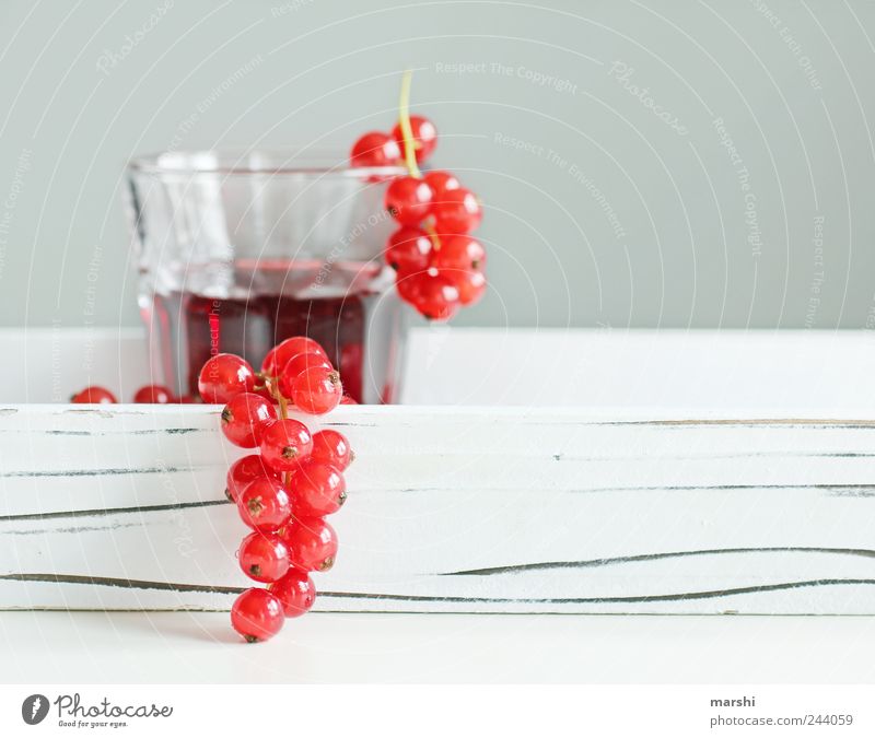 currant juice Food Fruit Nutrition Beverage Drinking Cold drink Juice Glass Red Berries Round Small Juice glass Blur White Thirsty Delicious Tasty