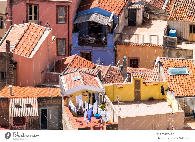 picturesque place from above with blue house Vacation & Travel Summer Beautiful weather pink Sardinia Italy Small Town Downtown Old town Skyline
