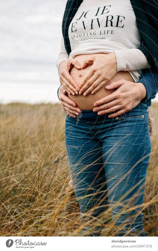 Pregnant making heart with hands on naked belly with partner Lifestyle Human being Woman Adults Man Mother Couple Partner Hand Nature Landscape Horizon Grass