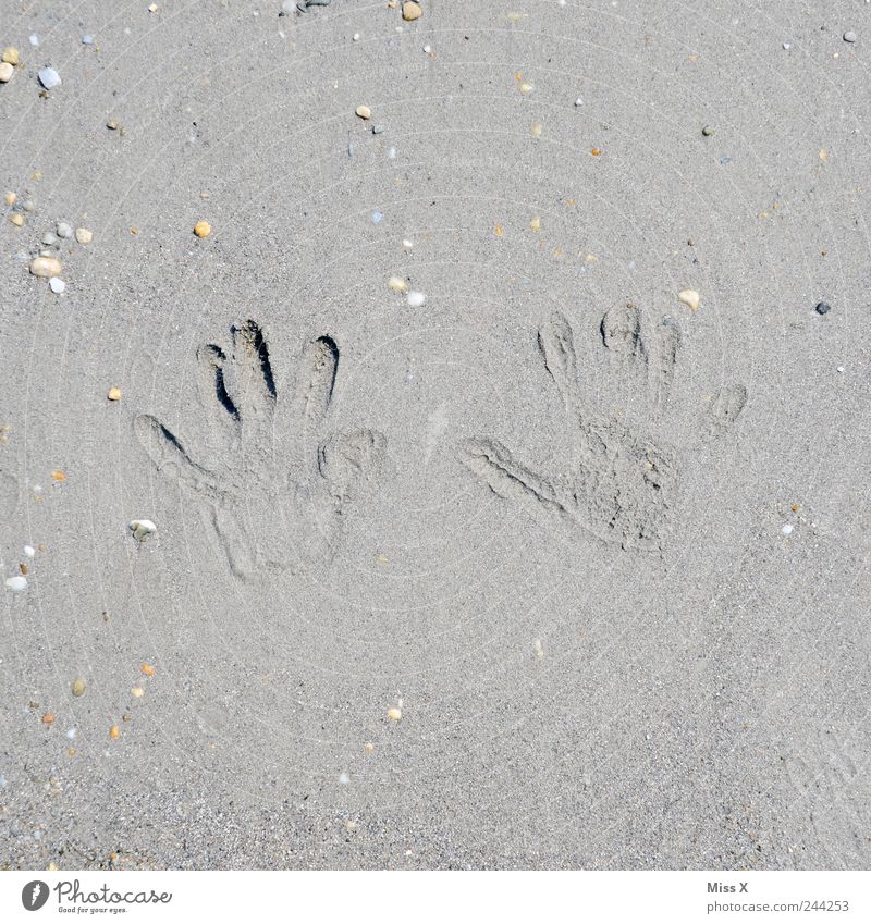 walk of fame Vacation & Travel Summer vacation Beach Toddler Hand Fingers Brown Sand Stone Mussel Sandy beach Fingerprint Imprint Colour photo Subdued colour