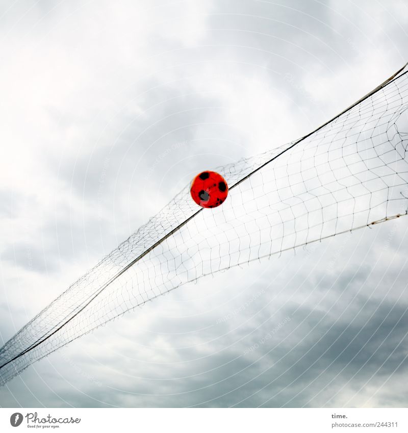 flying object Playing Sports Ball sports Rope Sky Net Flying Volleyball net Pole Wooden stake guy Colour photo Subdued colour Exterior shot Deserted