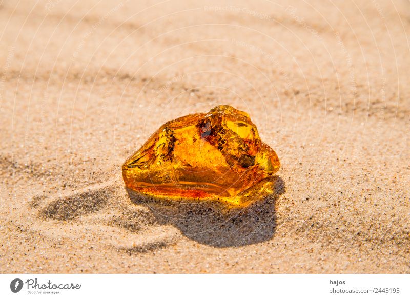 Amber at the Baltic Sea beach Beach Nature Sand Stone Ornament Old Yellow Brilliant luminescent Poland find full of value Precious Resin healing stone