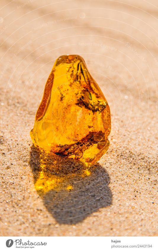 Amber at the Baltic Sea beach Beach Nature Sand Ornament Bright Historic Brown Yellow Resin Poland Brilliant luminescent Mystic Hildegard von Bingen