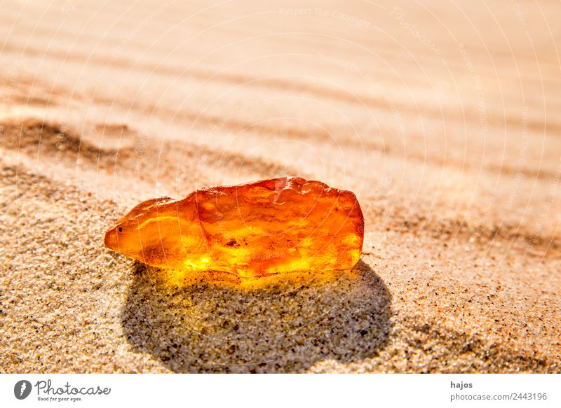 Baltic sea clearance amber