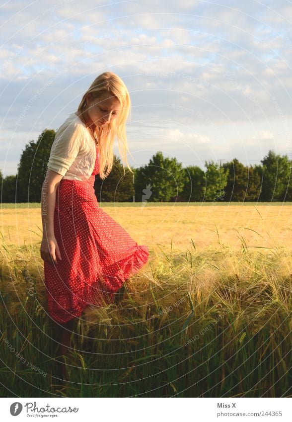 in grain Human being Feminine Young woman Youth (Young adults) 1 18 - 30 years Adults Sunrise Sunset Summer Grass Field Beautiful Moody Warm-heartedness