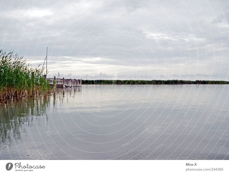 Nothing going on at the lake Environment Nature Landscape Water Clouds Bad weather Grass Coast Lakeside Navigation Cold Gloomy Gray Federal State of Burgenland