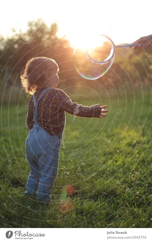 soap bubble small child meadow sunset Feminine Toddler Girl 1 Human being 1 - 3 years Nature Sunrise Sunset Sunlight Summer Beautiful weather Bushes Meadow