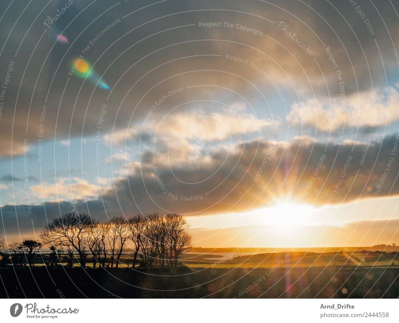 Ireland - Sunset Vacation & Travel Freedom Ocean Island Nature Landscape Plant Sky Clouds Sunrise Sunlight Spring Summer Beautiful weather Tree Field Waves