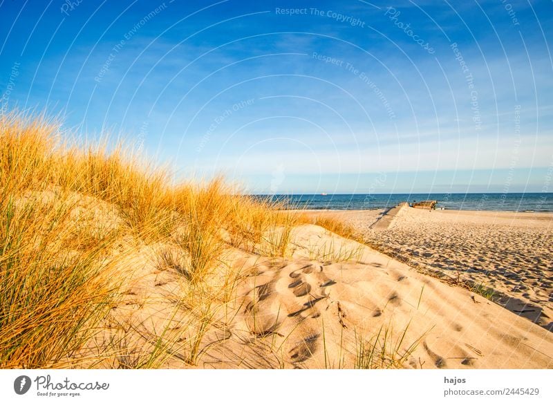 Baltic Sea beach in Poland Vacation & Travel Summer Beach Nature Sand Hill Coast Idyll Tourism Dune marram grass Sky Blue Ocean Empty Lonely vacation Wild