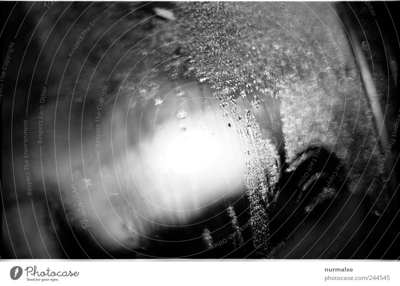 morning dew Lifestyle Art Environment Nature Drops of water Climate Fog Limousine Car Window Glittering Dark Wet Moody Time Dew Black & white photo Abstract