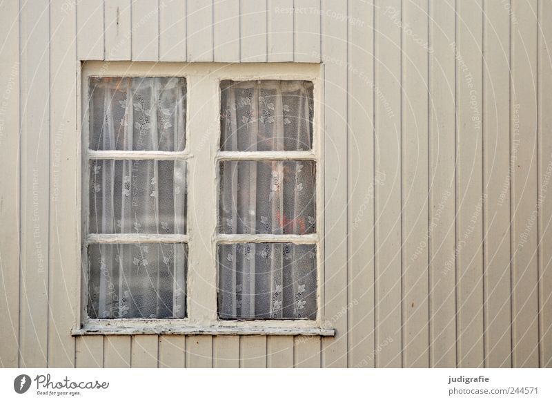 windows House (Residential Structure) Detached house Hut Facade Window Living or residing Line Curtain Old Wood Colour photo Subdued colour Exterior shot