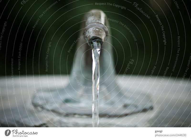 H2OH2OH2OH2OH2OH2OH2OH2OH2OH2OH2OH2O Jet of water Tap Well Stone Metal Water Fluid Fresh Wet Movement Pure Environment Flow Drinking water Colour photo