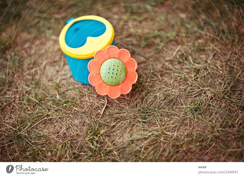 Gregor Gießi Infancy Environment Nature Beautiful weather Grass Garden Meadow Toys Watering can Plastic Cute Dry Growth Colour photo Multicoloured Exterior shot