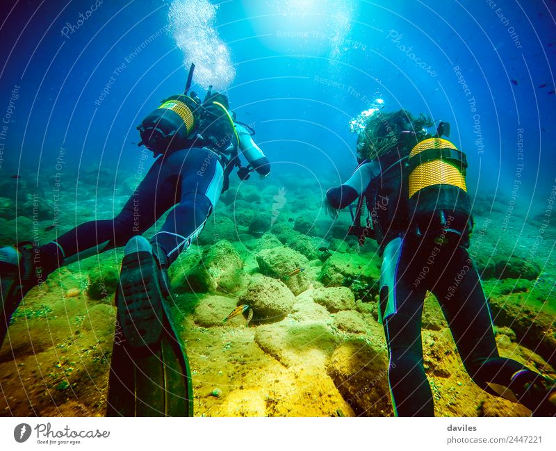 Two persons in their back with scuba diving equipment exploring the ocean floor. Lifestyle Exotic Joy Leisure and hobbies Vacation & Travel Tourism Summer Ocean