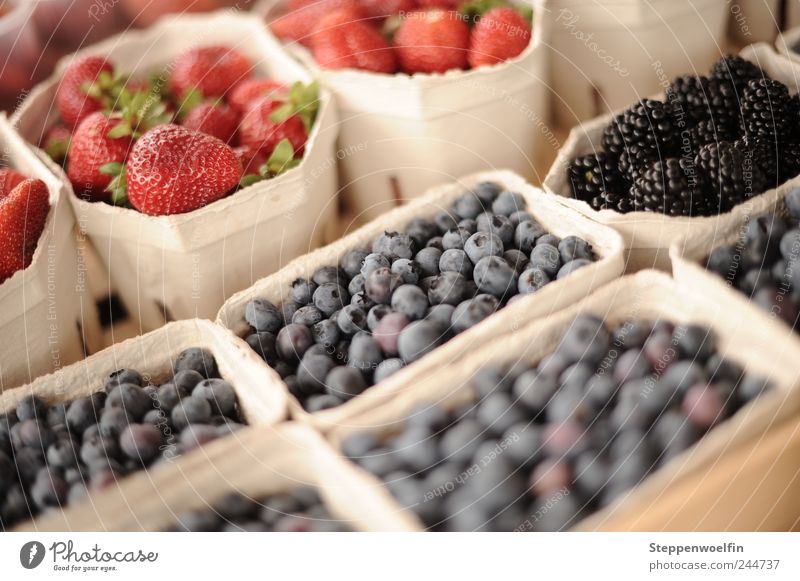 berry collection Food Fruit Blackberry Strawberry Blueberry Nutrition Picnic Organic produce Vegetarian diet Healthy Select Paying Violet Red Sweet