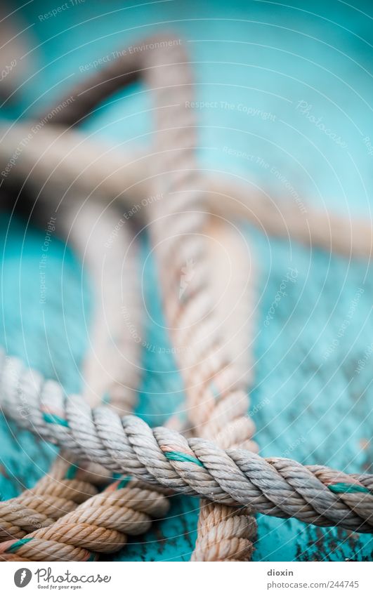 Rope team 1 Navigation Fishing boat On board Deck Old Lie Authentic Colour Decline Transience Attachment Connection String Colour photo Exterior shot Close-up