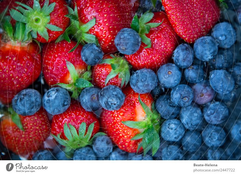 Strawberries and blueberries - delicious vitamin-rich summer fruit Strawberry Blueberry Blue-red Vitamin-rich Spring fruit Summer fruit Delicious salubriously