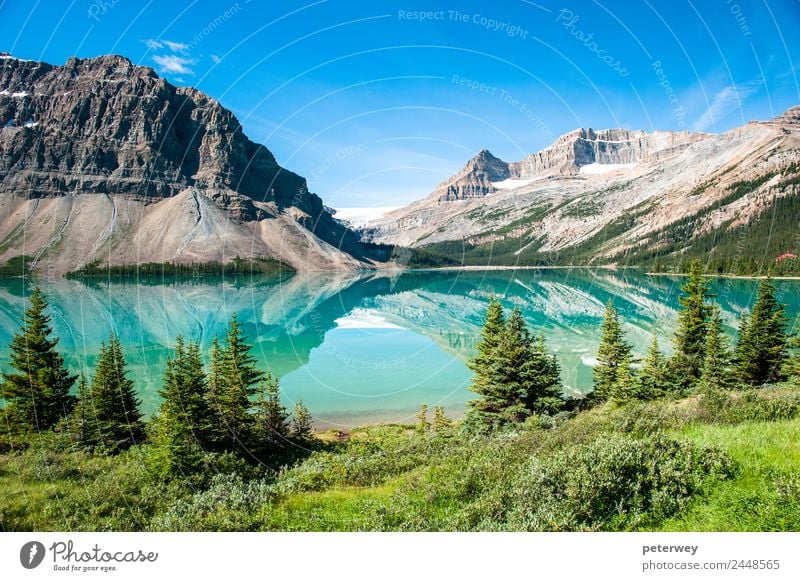 Bow Lake Panorama at the Icefield Parkway in Banff National Park Vacation & Travel Trip Summer Mountain Hiking Swimming & Bathing Nature Beautiful weather