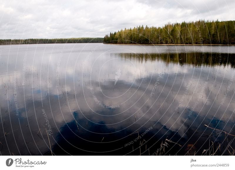 cloud reflection Vacation & Travel Trip Nature Landscape Water Sky Clouds Forest Lake Finland Blue White Reflection Smoothness Blade of grass Coast Colour photo
