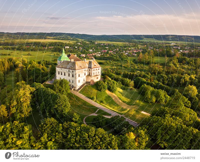 Olesko Palace from the air. Summer park and castle on the hills. Vacation & Travel Tourism Museum Nature Landscape Sky Spring Beautiful weather Tree Park Meadow